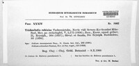 Image Associated With the Occurence